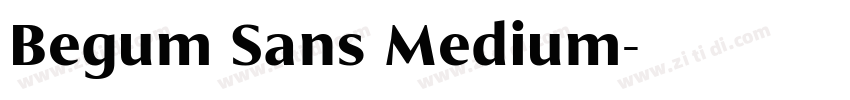 Begum Sans Medium字体转换